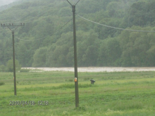 52010 009