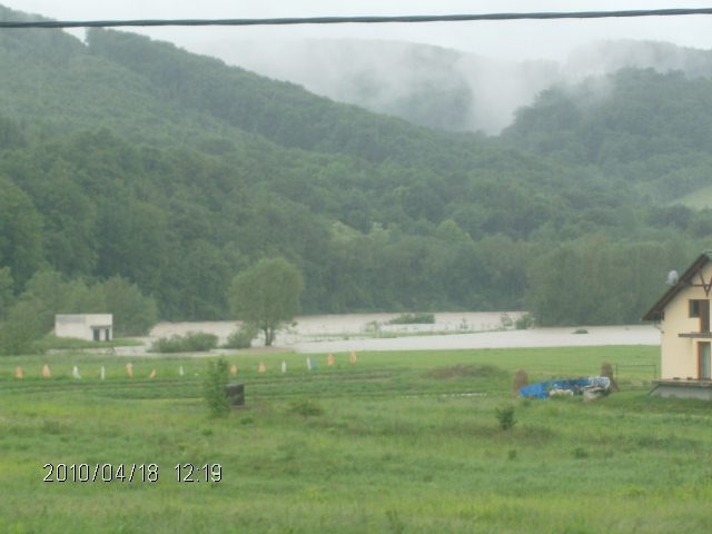 52010 041